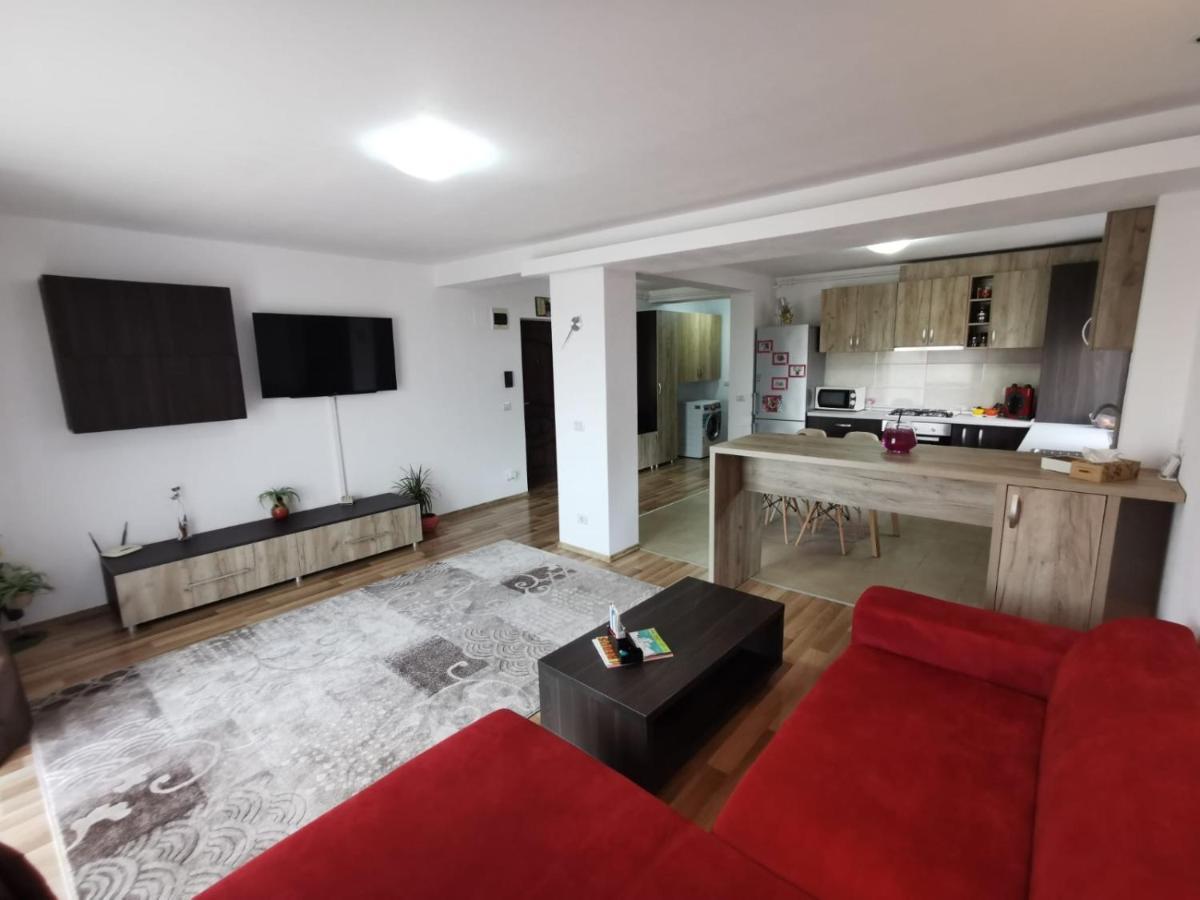 Apartment Ovidiu